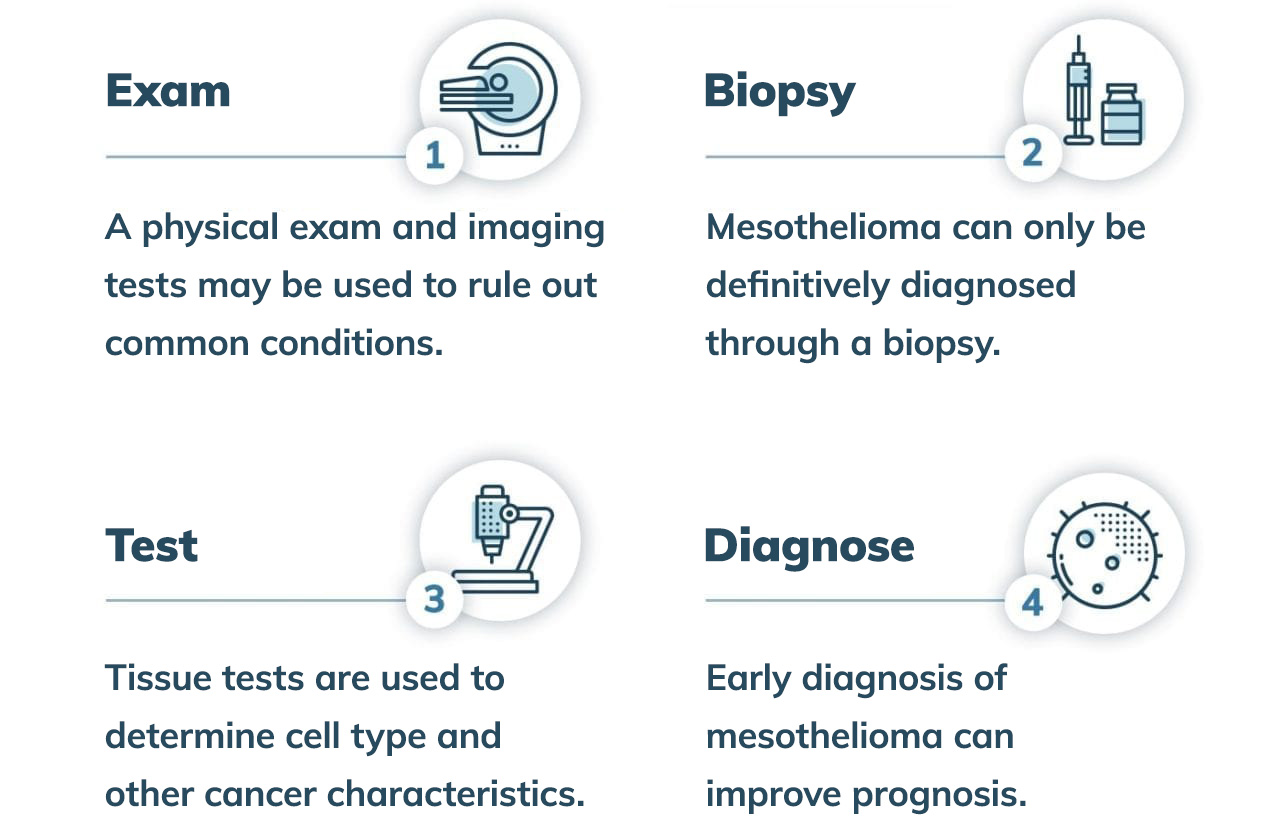 This is an illustration that shows the four steps of a mesothelioma diagnosis: exam, biopsy, test and diagnose.